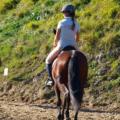 Rutas a caballo por el Valle del Pisueña: una experiencia inolvidable